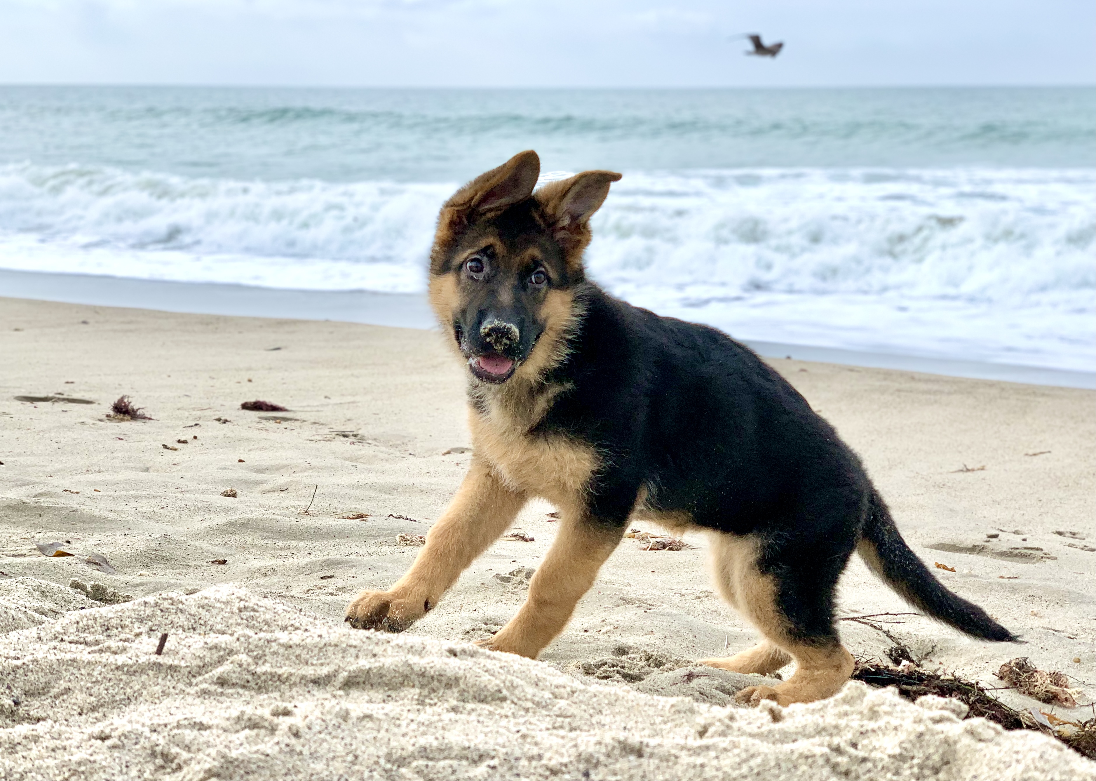 On the beach